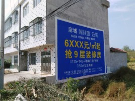 吉水墙体广告质量分析